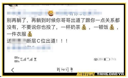 体育圈饭圈化 明星视频在线观看,饭圈化趋势下的视频盛宴