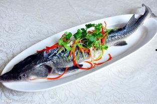 黑料是什么 网红黑料牛奶秋刀鱼,牛奶秋刀鱼背后的故事